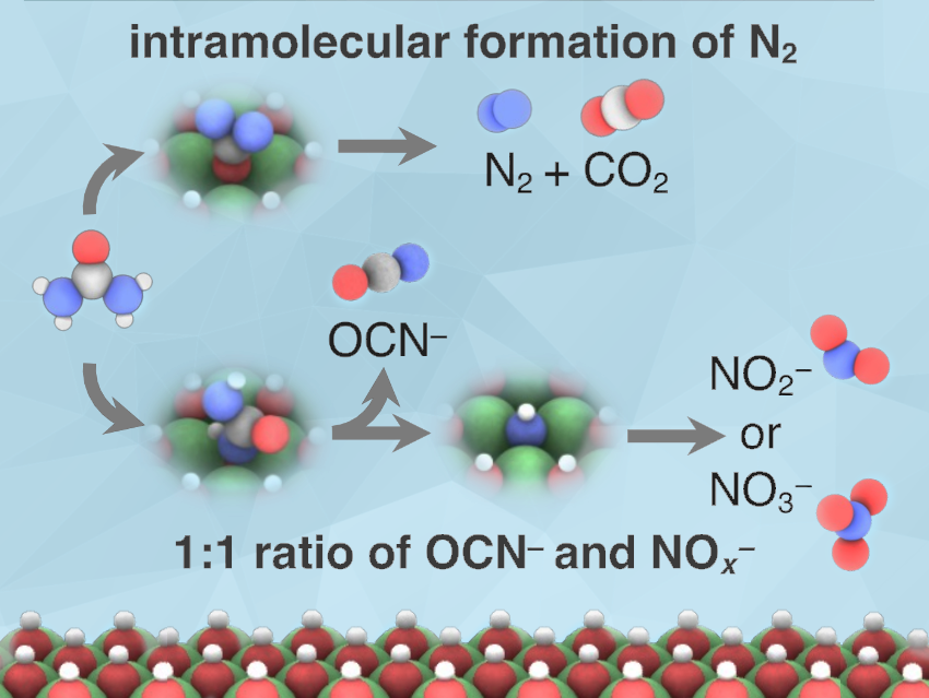 Behind the Science: Exploring Urea Oxidation