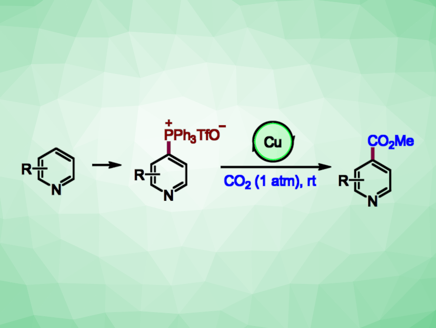 Late-Stage C4-Selective Carboxylation of Pyridines Using CO2