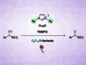 Copper-Based Perfluorinated Catalytic System for the Aerobic Oxidation of Alcohols