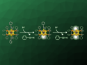 IrAu12 Superatoms with Open Sites Form Dimers and Trimers