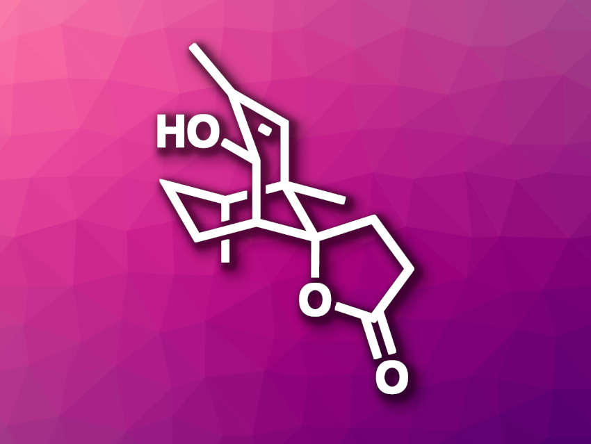 Total Synthesis of (–)-Lemnalemnane A