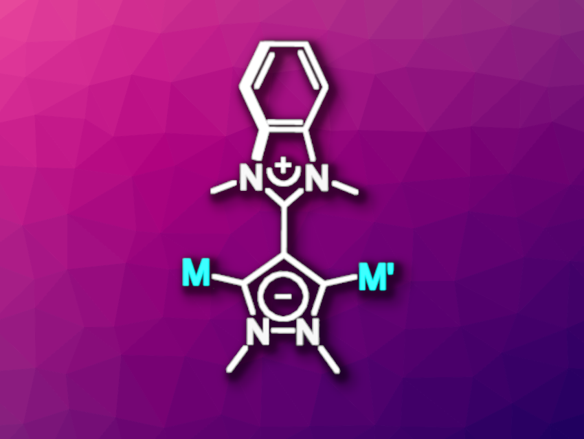 Mesoionic Janus-Type Dicarbenes Form Bimetallic Complexes