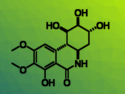 Hybrid Analogue of Pancratistatin Made from Shikimic Acid