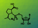 Nucleotide Derivatives with Increased Reactivity