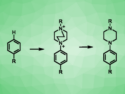 Selective Electrochemical Arene Amination