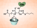 Supramolecular Enzymes as Recyclable Catalysts