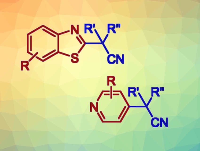 Transition-Metal-Free Alkylation of N-Heterocycles with Nitriles