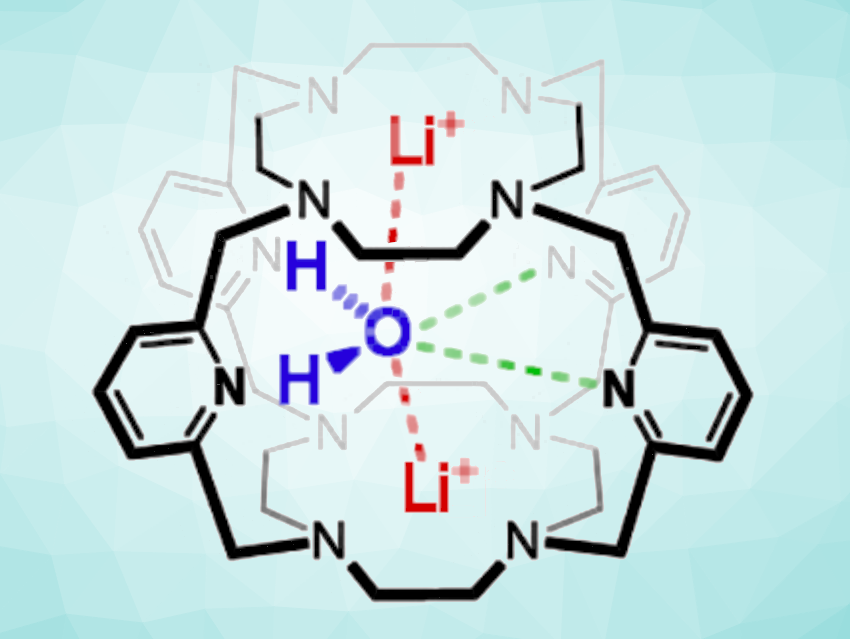 First Chalcogen Bonds Centered at Water Oxygen Atoms