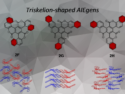 Synthesis and Characterization of Coumarin-Fused Triskelion-Shaped Scaffolds