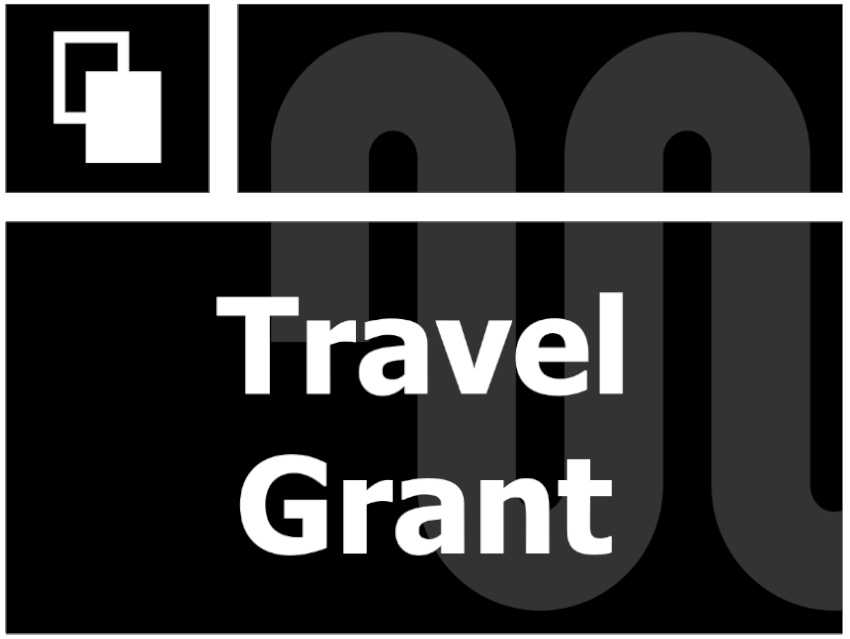 Chemistry Europe Travel Grant