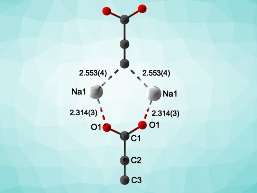 The First Crystalline Compound with a –C≡C–COO– Anion