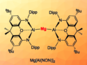 Bis(Aluminyl)Magnesium Compound with Dual Reactivity