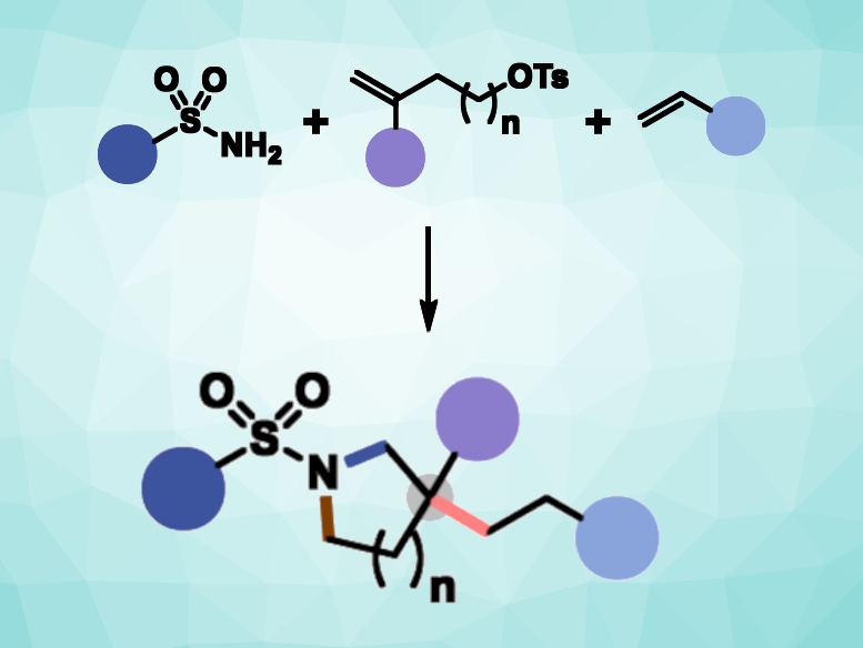 Cyclic Amines Synthesized Using a Radical-Polar Crossover Cycloaddition
