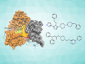 Finding Inhibitors of a SARS-CoV-2 Helicase