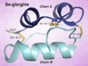 An Insulin Analogue Stabilized by a Diselenide Bridge