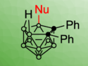 Photoinduced B–H Functionalization of nido-Carboranes