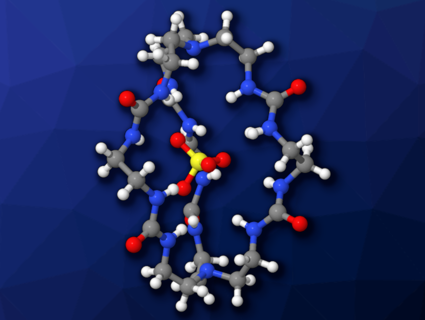 New Molecular Cages for Efficient and Selective Sulfate Binding