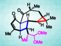 First Total Synthesis of Pepluacetal