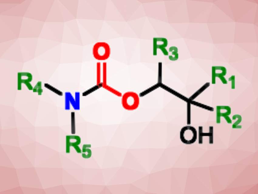 Bio-Sourced Hydroxyurethanes