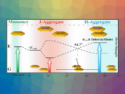 Aggregates for Water Content Detection in Organic Solvents