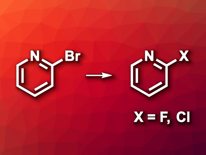 Metal–Organic Frameworks as Catalysts for Halogen Exchange