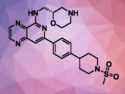 Selective Inhibitor of Spleen Tyrosine Kinase Discovered