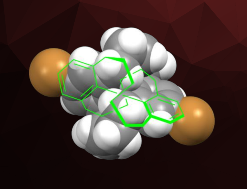 Biphenyls Connected by Winding Chains