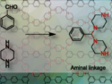 Metal-Free Electrocatalytic C2H4 Production from CO2