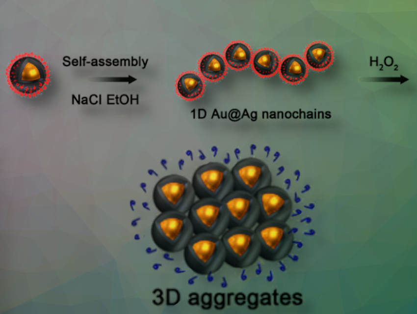A “Transformers”-like Nanochain for Theranostics
