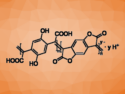 A Water-Processable n-Type Conjugated Polymer