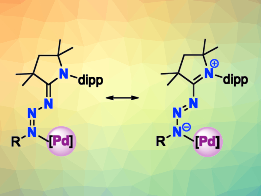 A New Nitrogen Ligand System with Donor Flexibility