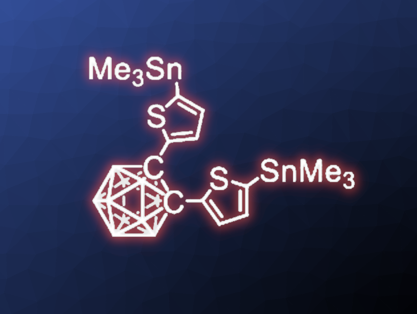 Fluorescent Polymers with Carborane Units in the Backbone