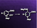 Enantioselective Dearomatization of Pyridinium Salts