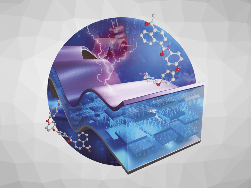 Angewandte Chemie 24/2024: Environmentally Benign