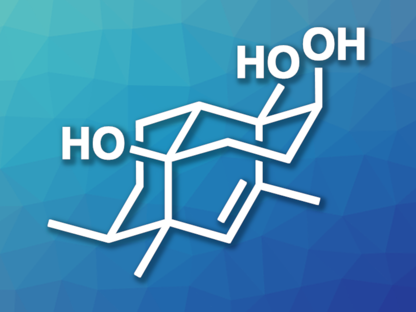 Total Synthesis of (+)-Lemnardosinane A
