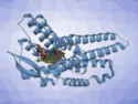 Marine Natural Product Activates Opioid Receptor