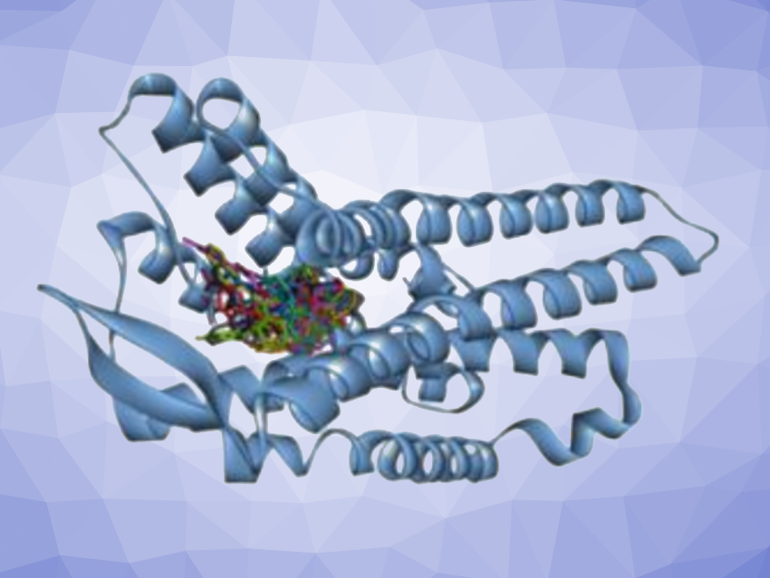 Marine Natural Product Activates Opioid Receptor