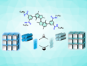 A Multifunctional Overcrowded Alkene-Based Molecular Motor