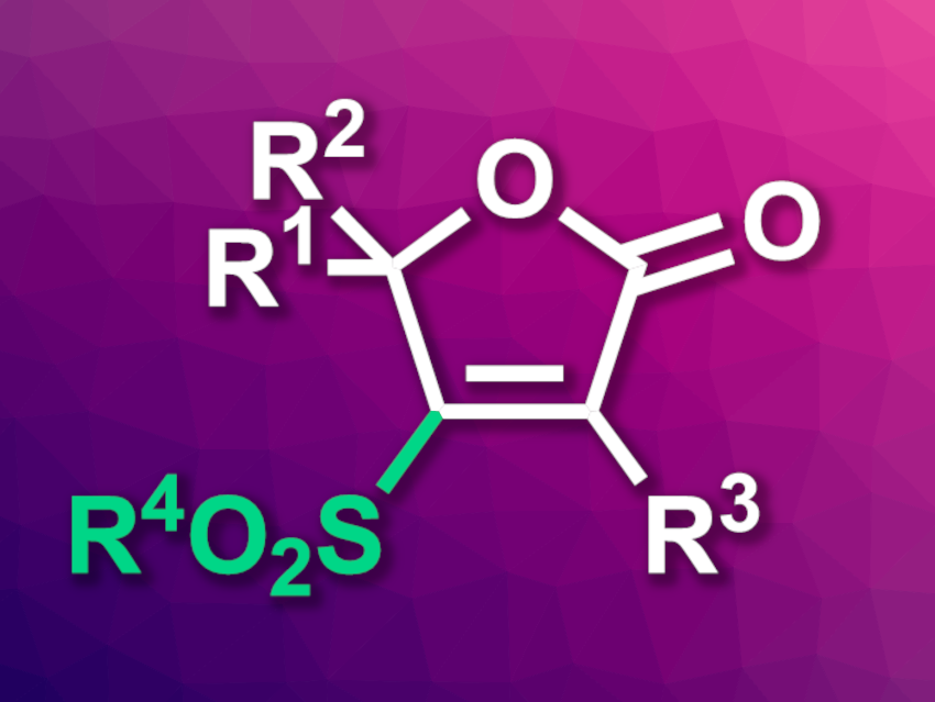 Photocatalytic Oxysulfonylation of 2,3-Allenoic Acids