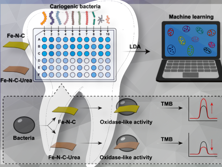AI-Powered Color Test Detects Dental Bacteria