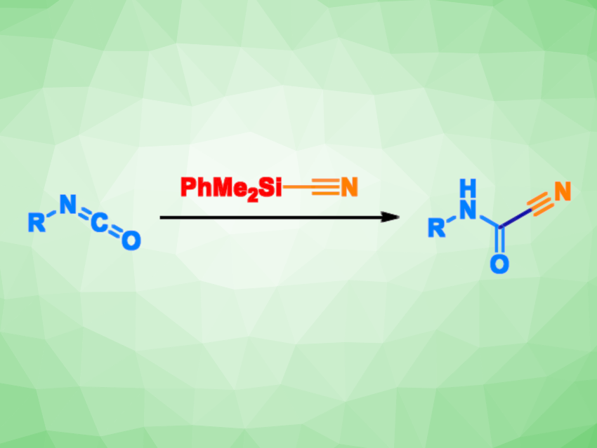 Straightforward Path to Cyanoformamides