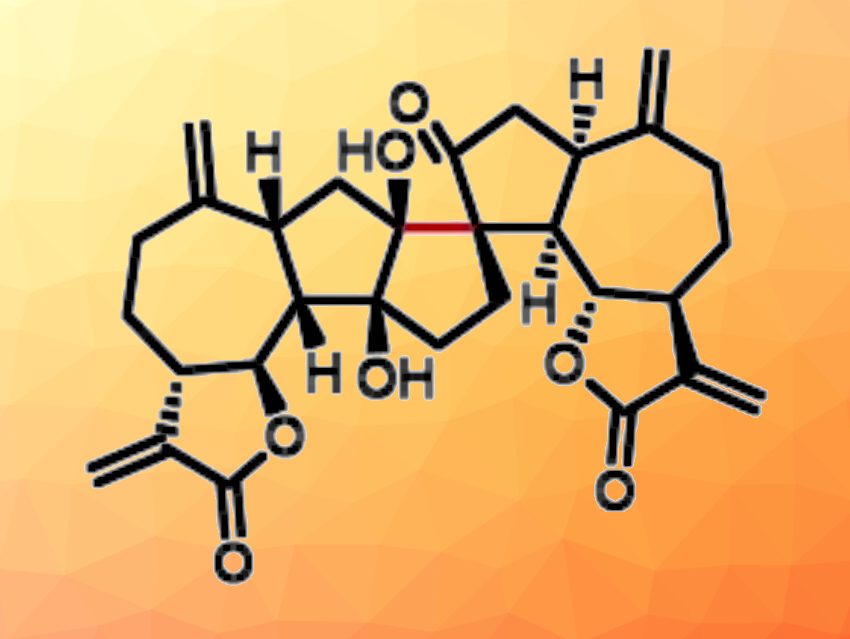 Solvent-Promoted Total Syntheses of Sesquiterpenoid Dimers