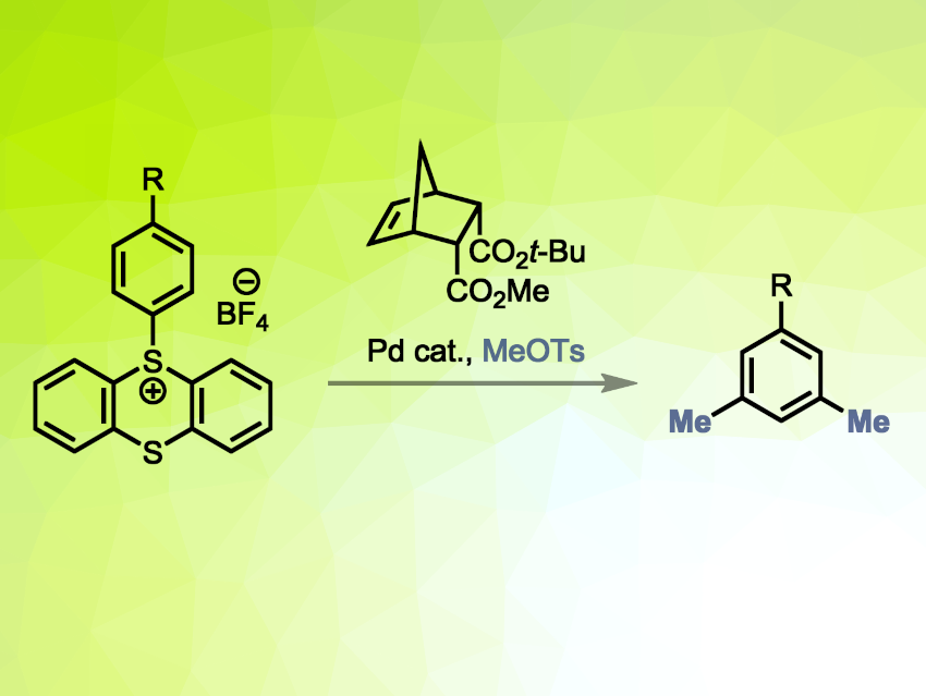 New Option for the Late-Stage Dimethylation of Arenes
