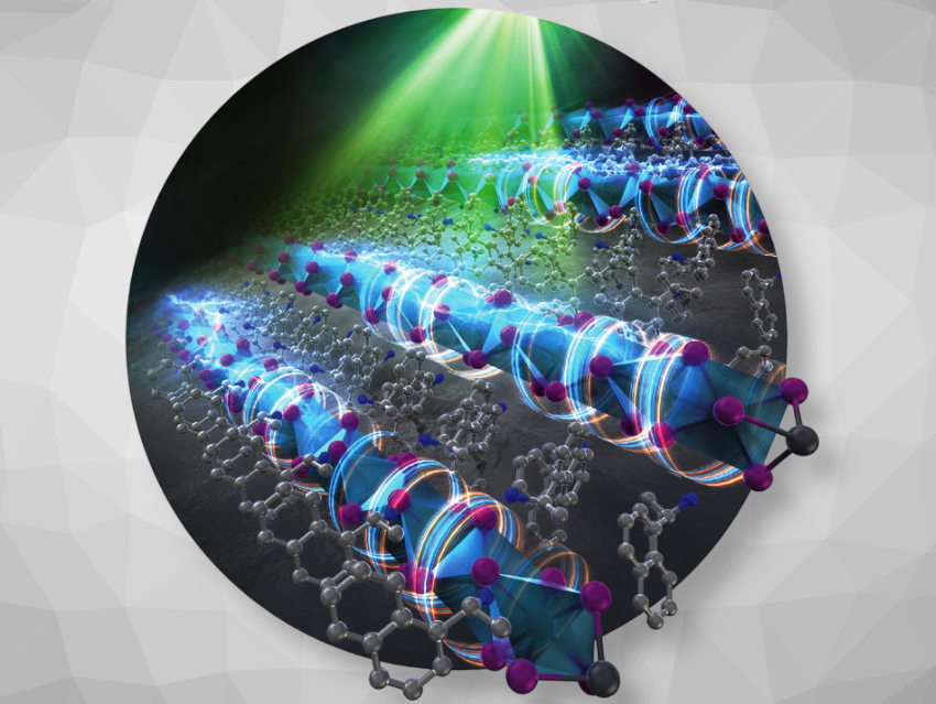 Angewandte Chemie 16/2025: Click Chance