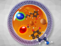 Angewandte Chemie 14/2025: Engineers and Taylors