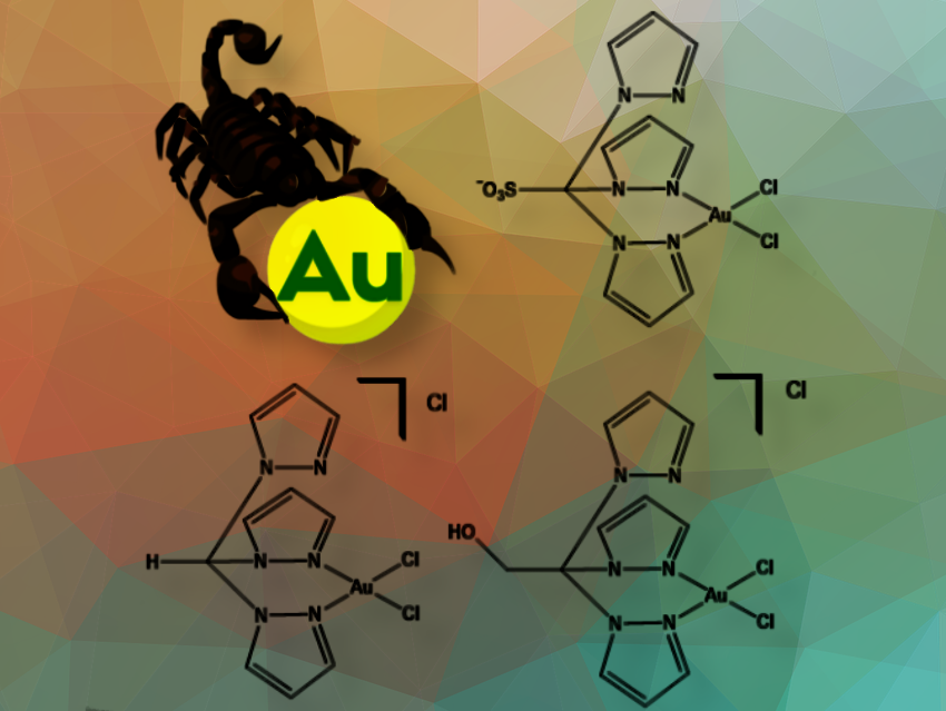 C-Scorpionate Complexes Catalyze Nitroarene Reduction for the First Time
