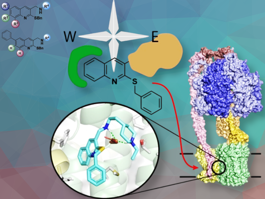 New Quinoline Compounds Target Bacterial Energy Production