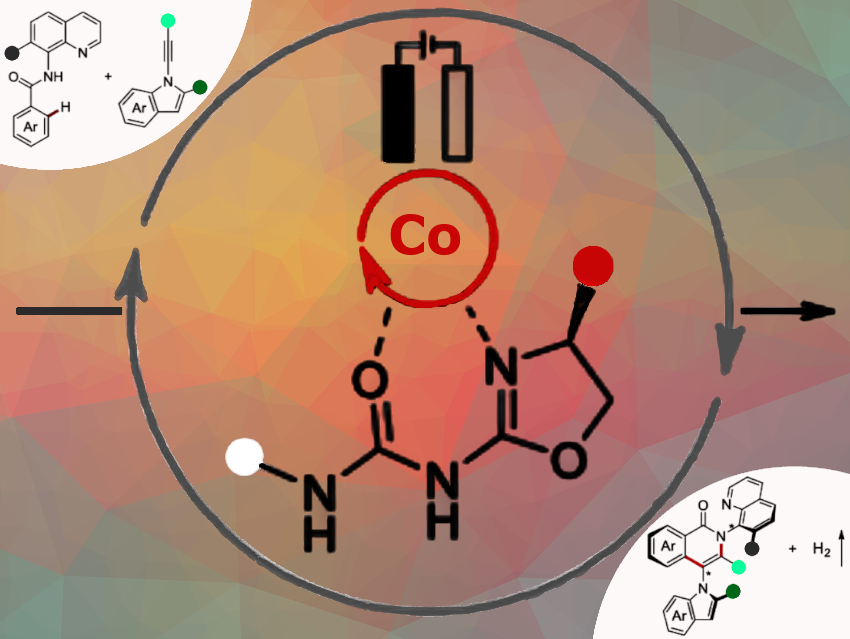 Electrochemical Co-Catalyzed C─H Activation for Enantioselective Formation of Indoles With Two Different Chiral C─N Axes