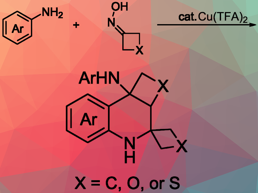 Scalable and Flexible Synthesis of Spirotetrahydroquinoline Derivatives