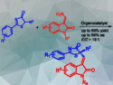 Enantioselective Substitution with Nitroolefins